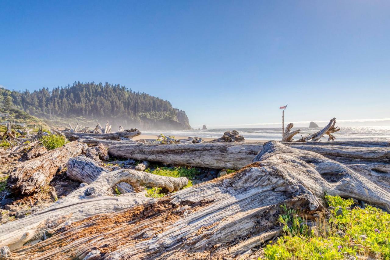Cape Meares Overlook Exteriör bild